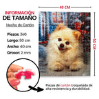 Rompecabezas Personalizado de Cartón de 360 Piezas - 50 x 40 CM - Puzzlemania México